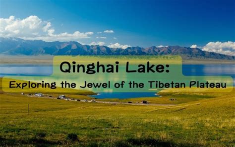 Qinghai Lake: A Sparkling Jewel Amidst the Tibetan Plateau!