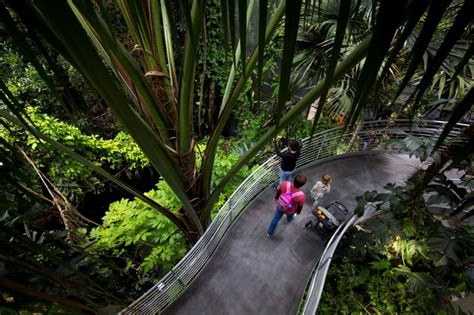 The California Academy of Sciences: A Mind-Blowing Journey Through Biodiversity and Discovery!