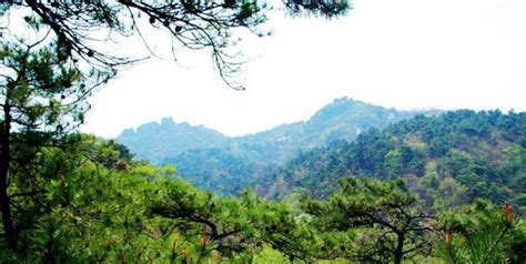 Jiguanshan Mountain Forest Park: A Thriving Haven for Nature Enthusiasts and Adventure Seekers!