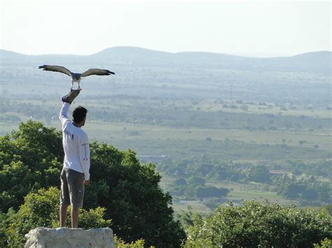 Parque dos Falcões: A Haven for Nature Lovers and History Buffs!